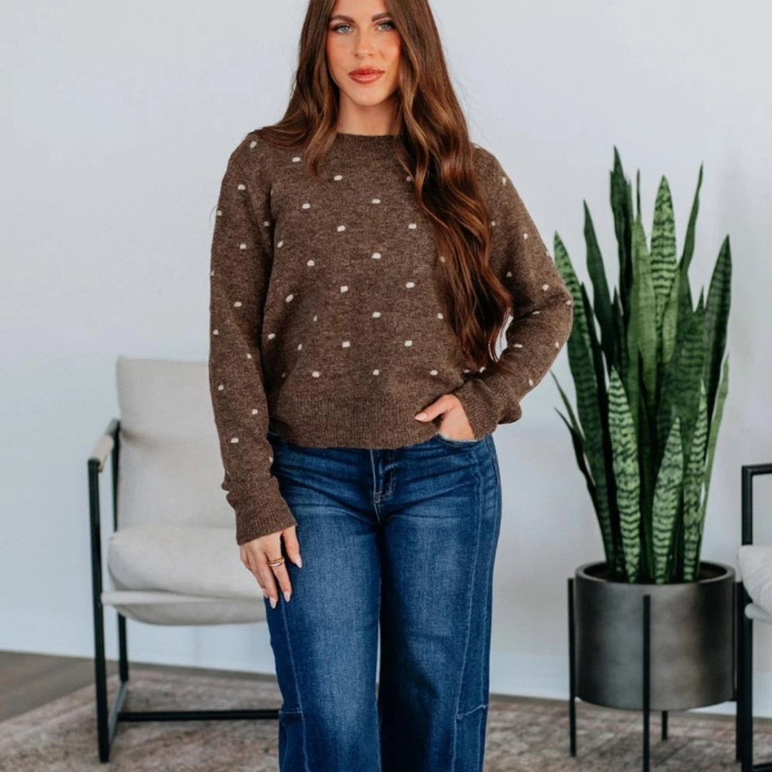 Women's Fashion Round Neck Long Sleeve Pullover Dotted Jacquard Sweater